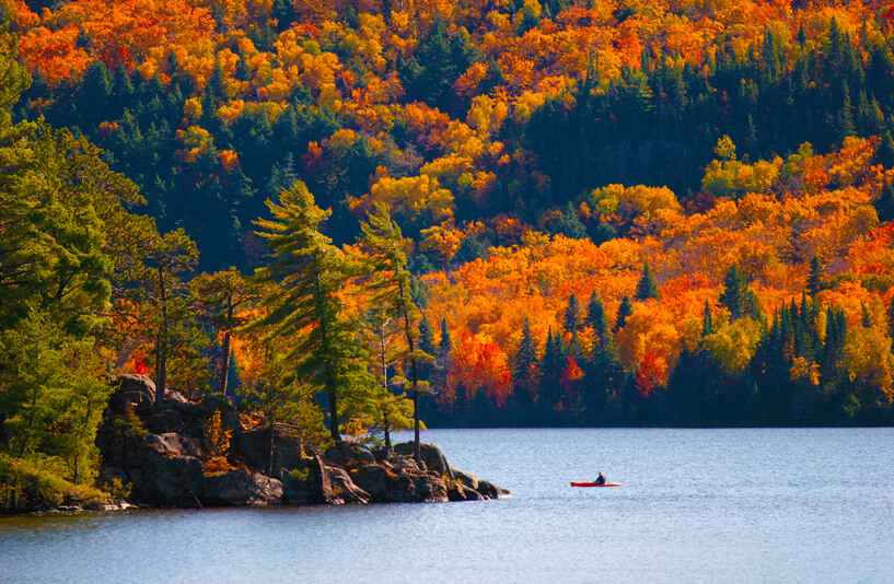 Best places to see the last fall foliage 
